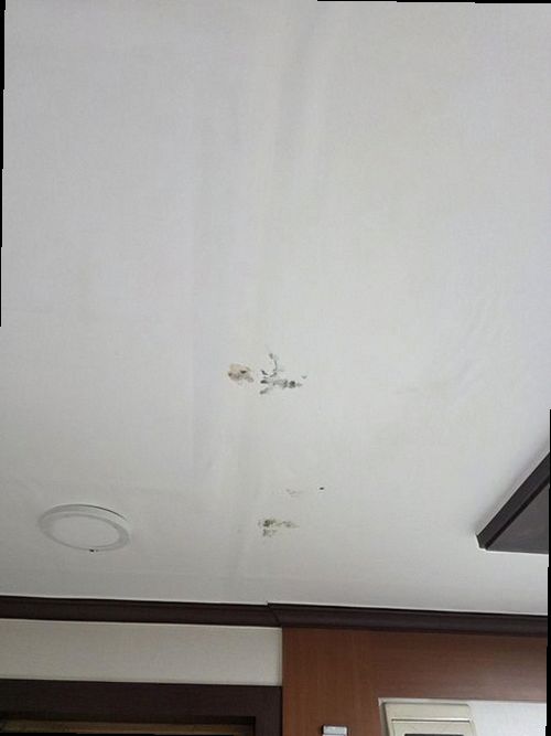 양평 누수탐지 지평면 단독주택 현관 앞 화단 시공 후기 사진