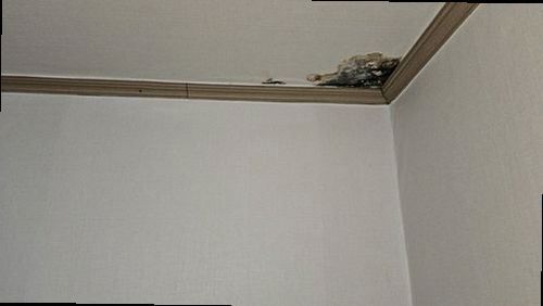 의왕 현장 작업