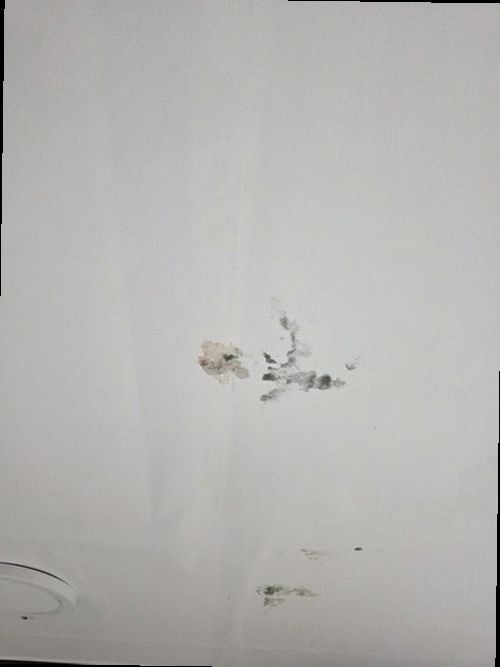 동탄구 현장 작업