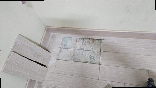 서해구·검단구 현장 작업
