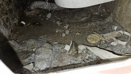 누수탐지 욕실 천장 얼룩이 번진 모습을 점검하는 장면