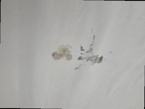 용산구 누수탐지 천장 누수 흔적과 주변 마감 상태를 확인하는 현장 점검