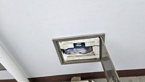 누수탐지 미근동 누수탐지 아파트 천장 얼룩 뒤에 숨은 의외의 원인