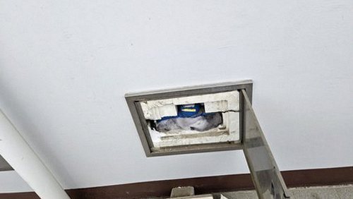 누수탐지 옥천면 누수탐지 벽지얼룩곰팡이 놓치기 쉬운 원인