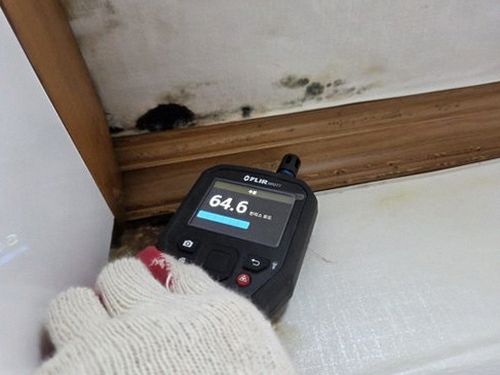 연천 전화 연결 연천 전화 연결