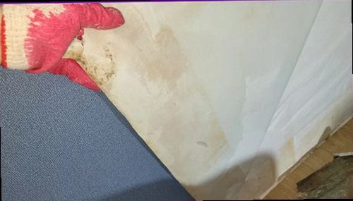 누수탐지 파주시 금촌3동 누수탐지 아파트화장실누수공사 늦기 전에 원인부터 확인하기