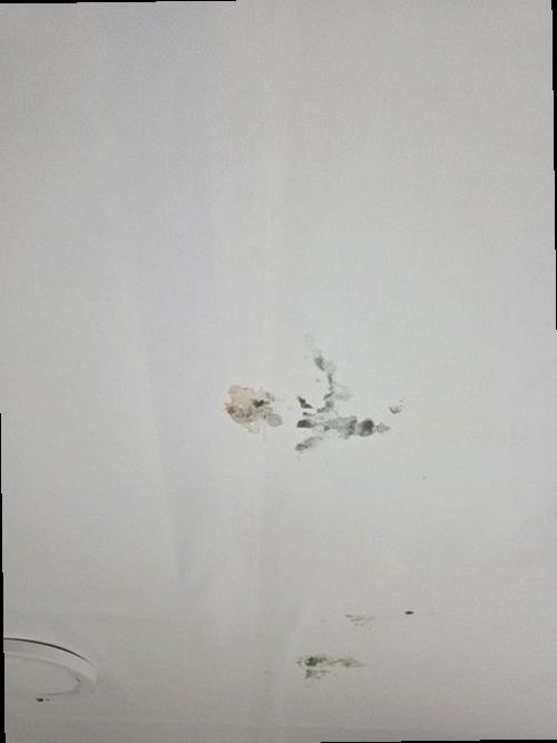 장안구 누수탐지 이목동 단독주택 2층 다용도실 시공 후기 사진