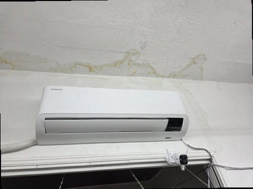 처인구 함께 확인