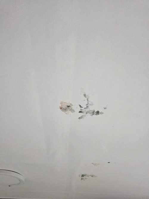 누수탐지 배관 검사 결과와 벽면 흔적을 대조하는 현장 점검