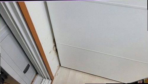 누수탐지 침실 천장 얼룩과 수분 흔적을 확인하는 현장