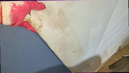 종로구 누수탐지 누수 원인과 수분 확산 범위를 기록하는 점검 보고서 작성 장면