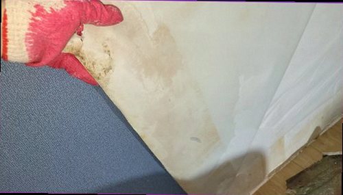 군포 누수탐지 천장 변색과 벽면 습윤 상태를 확인하는 현장 점검 모습