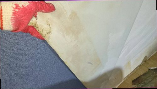 팔달구 누수탐지 벽면 변색과 들뜸이 나타난 실내 상태