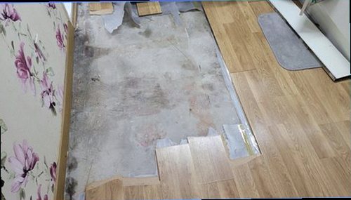 팔달구 누수탐지 누수 점검 장비로 배관 상태와 수분 분포를 비교하는 현장 모습