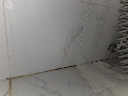 누수탐지 목동 누수탐지 욕실천장물방울 사전 확인 항목 정리