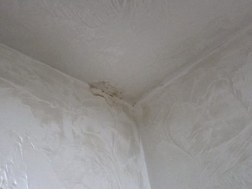 누수탐지 생연동 누수탐지 아파트 안방 벽지에 물방울이 맺힌 날