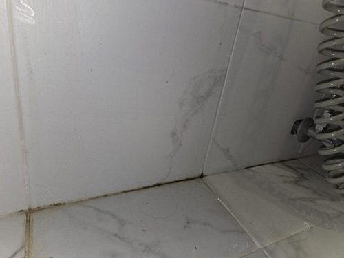 누수탐지 석운동 누수탐지 욕실벽물샘 직접 확인한 점검 전후 변화