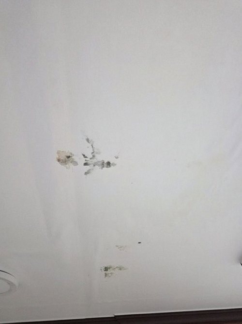 누수탐지 매송면 누수탐지 아파트 안방 천장 얼룩 직접 확인해 보니