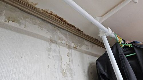 누수탐지 지영동 누수탐지거실벽지젖음 실제 점검으로 알게 된 순서