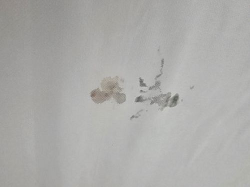 누수탐지 아산시 염치읍 누수탐지 아래층물샘해결 직접 확인해 보니 알게 된 점