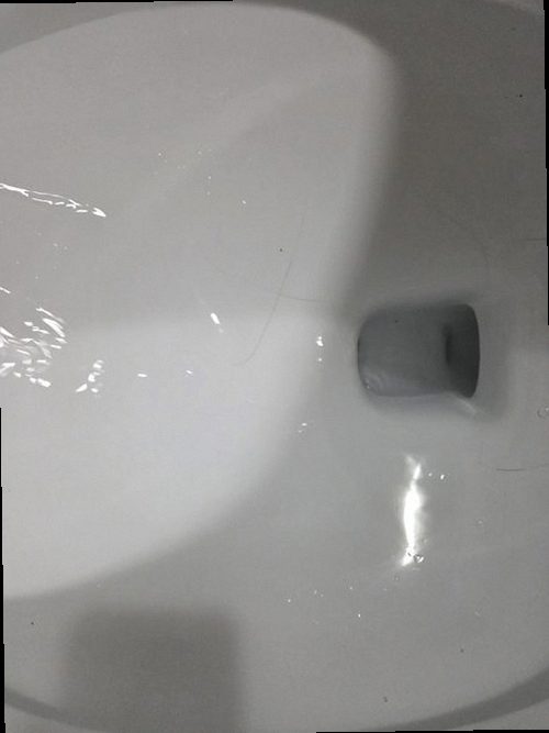 과천 함께 확인 과천 함께 확인