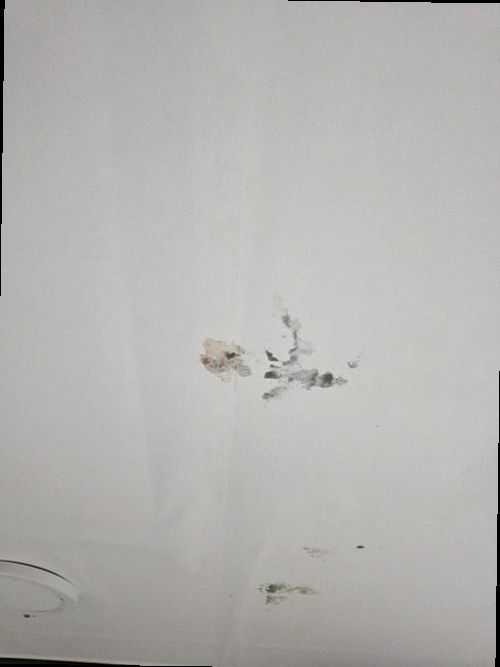 일산동구 전화 연결 일산동구 전화 연결