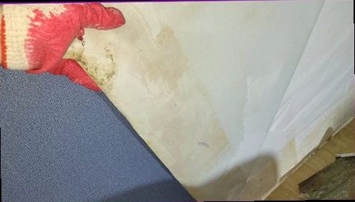 천안시 동남구 누수탐지 벽면 누수 흔적과 점검 위치를 표시한 실내 현장
