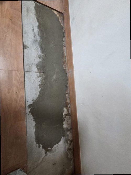 서초구 현장 확인