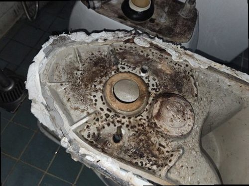 분당구 누수탐지 고양동 빌라 시공 후기 사진