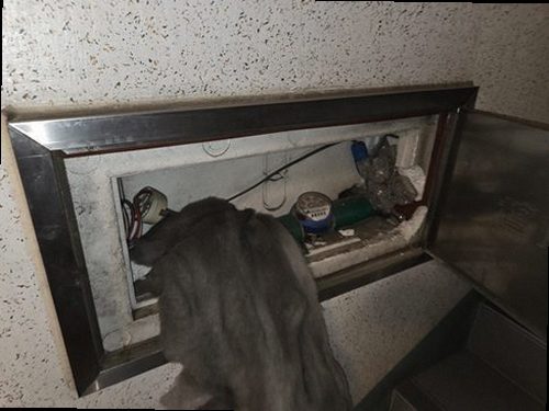 일산서구 누수탐지 보일러 배관