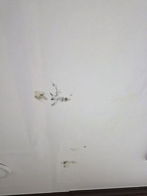서초구 내용 청취 서초구 내용 청취