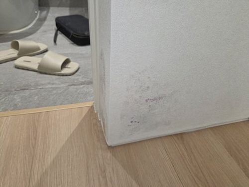 누수탐지 점검 결과서와 배관 구간 사진을 함께 검토하는 장면