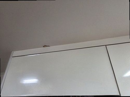 동작구 누수탐지 측정 장비로 벽면의 수분 상태를 확인하는 과정