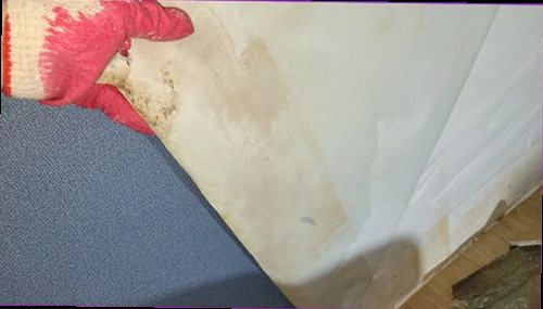 서울 중구 누수탐지 배관 주변과 실내 마감 상태를 단계적으로 점검하는 모습