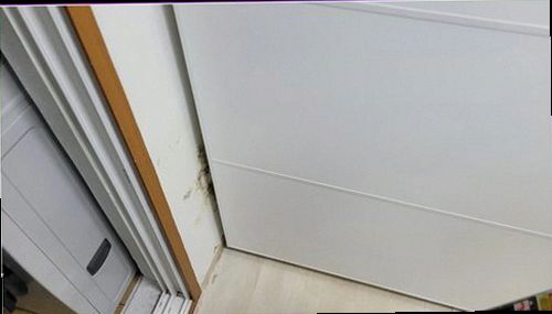 군포 누수탐지 벽면과 바닥 주변의 누수 흔적을 확인하는 현장 점검 모습