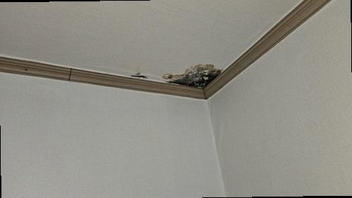 연천 누수탐지 전곡읍 연립주택 2층 아이 방 천장 시공 후기 사진