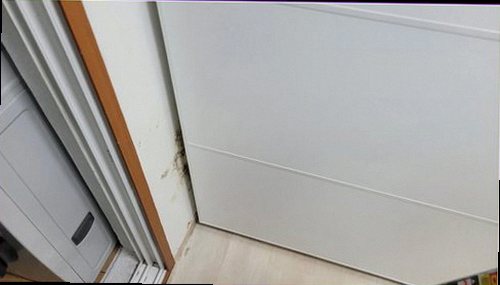 덕양구 누수탐지 천장 얼룩과 벽면 변색으로 누수 흔적을 확인하는 모습