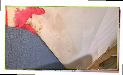 덕양구 누수탐지 점검 장비로 배관 압력과 벽면 수분 상태를 확인하는 모습