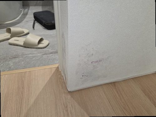 누수탐지 누수 원인, 빠르게 좁히는 점검