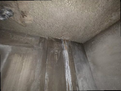성북구 누수탐지 벽과 천장에 나타난 누수 흔적을 점검하는 모습