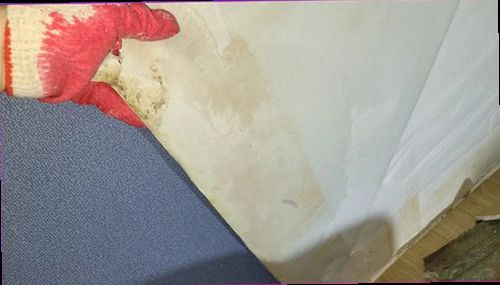 기흥구 누수탐지 벽면과 바닥 주변의 누수 흔적을 비교하는 점검 모습