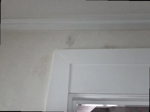 일산서구 누수탐지 가좌동 아파트 11층 세탁실 시공 후기 사진