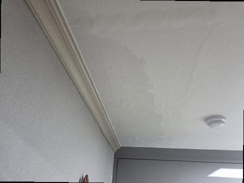 일산서구 근거 설명 일산서구 근거 설명