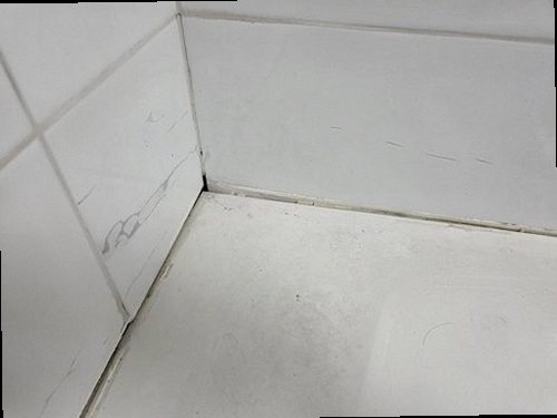 남동구 재점검 기록 남동구 재점검 기록