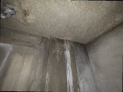 누수탐지 직접 살펴본 누수 판단 기준