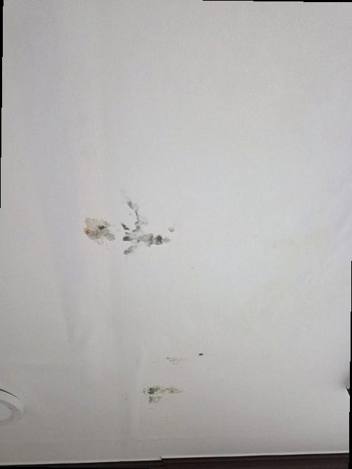 천안시 서북구 누수탐지 성환읍 빌라 2층 안방 벽 시공 후기 사진