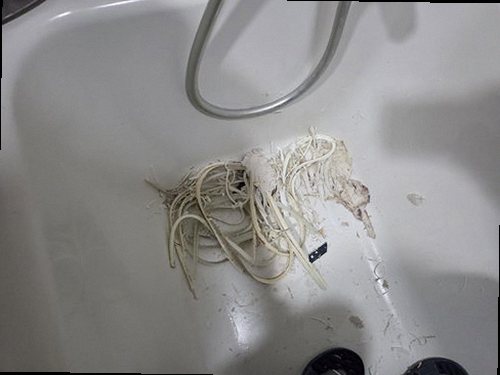 누수탐지 인헌동 싱크대수도꼭지물샘 보수냐 교체냐