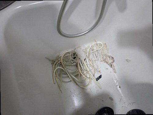 서초구 누수탐지 천장 얼룩과 싱크대 하부장 주변 습기를 살펴보는 점검 모습