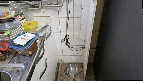 송파구 함께 확인