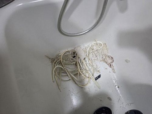 누수탐지 배관 점검 장비를 확인하는 작업 장면